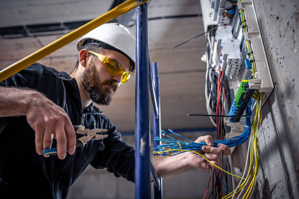 Best Electrical Wiring Services  in Cedar Springs, MI