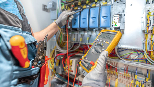 Best Residential Electrician Services  in Cedar Springs, MI