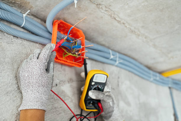 Best Electrical Troubleshooting Services  in Cedar Springs, MI