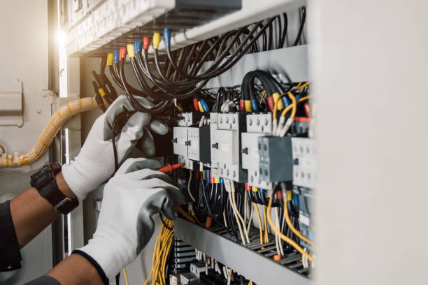 Best Electrical System Inspection  in Cedar Springs, MI