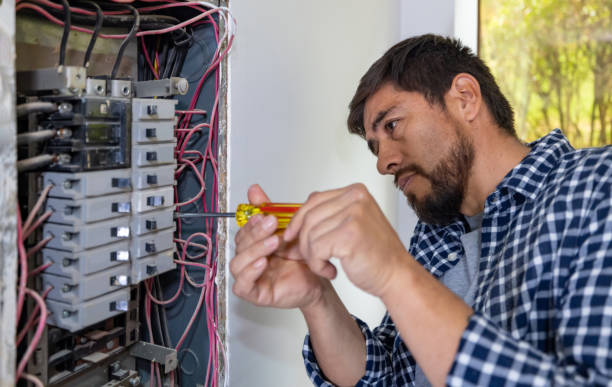 Best Affordable Electrician  in Cedar Springs, MI
